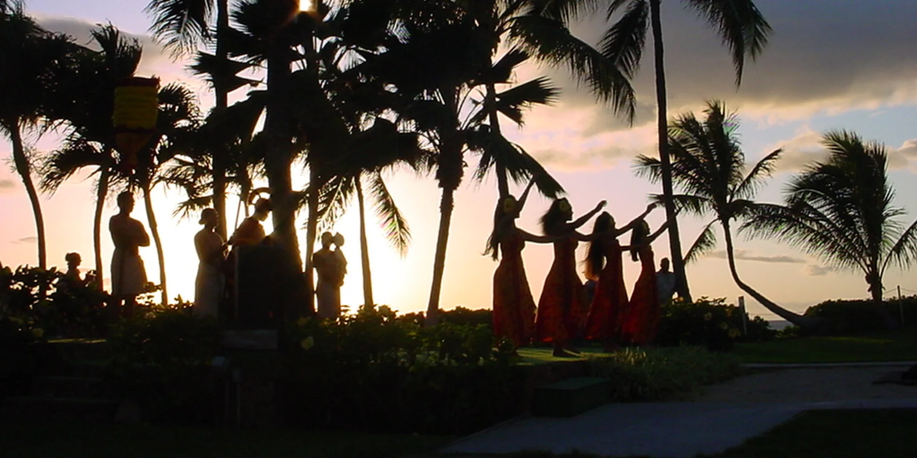A line of hula dancers silhouetted against a Hawaiian sunset under palm trees